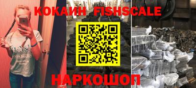 крисы Кулебаки