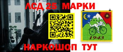 крисы Кулебаки