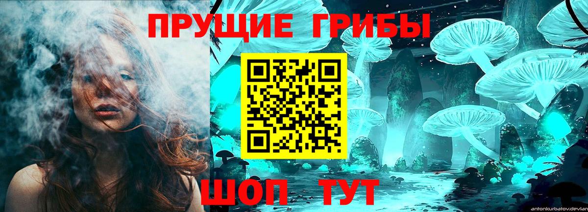 Псилоцибиновые грибы Psilocybine cubensis  Вход с VPN  Зеленодольск 