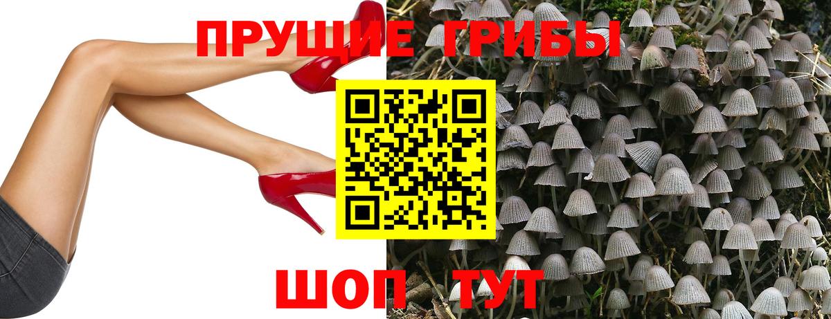 Галлюциногенные грибы Magic Shrooms Зеленодольск
